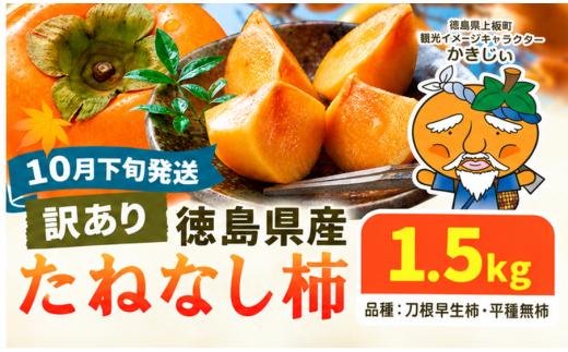 【10月下旬発送指定便】柿 果物 訳あり たねなし柿 1.5kg 《2026年10月下旬発送予定》 旬 送料無料 徳島県 上板町 フルーツ かき カキ くだもの 刀根早生柿 平種無柿