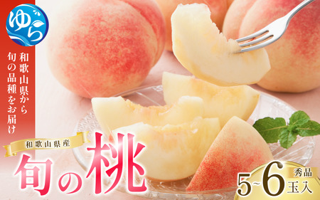 桃 旬の もも 和歌山県産 5～6玉入り 秀品 ※2026年6月下旬より順次発送【mtgn043】
