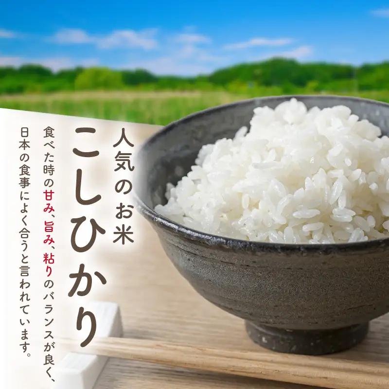 旬の野菜 5～8種詰め合わせと京都・京丹後産コシヒカリ2kgセット