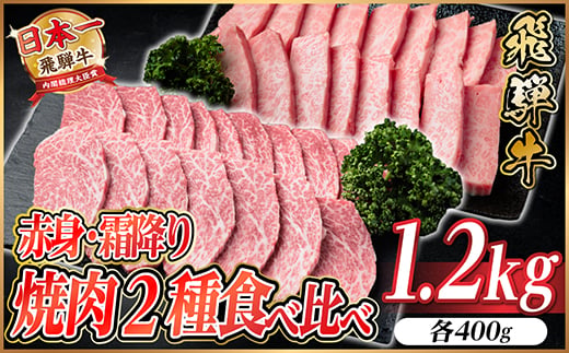 
                  飛騨牛　赤身・霜降り焼肉2種食べ比べセット(ヒレ・三角バラカルビ)計1.2kg(各600g)タレ付き【1746241】
                