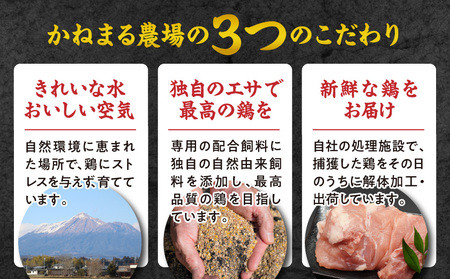 かねまる農場のみやざき地頭鶏1羽まるごとセット_MJ-J705_(都城市) 真空パック 地頭鶏 じとっこ 1羽まるごと 平飼い飼育 みやざき地頭鶏 地鶏 1羽 モモ肉 ムネ肉 ササミ 手羽先 手羽元 