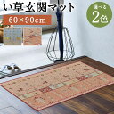 【ふるさと納税】い草玄関マット Fミーナ 60×90cm ブルー ピンク 選べる2色 い草 いぐさ 玄関マット マット 生活雑貨 天然素材 袋織り 国産い草 福岡県産 国産 送料無料