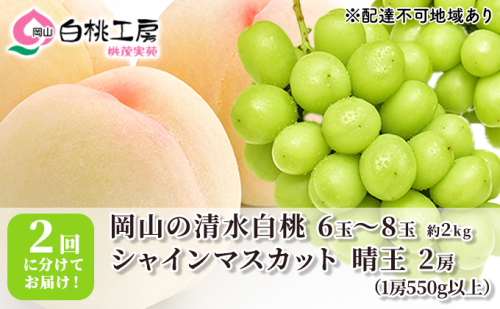 桃 ぶどう 2024年 先行予約 清水 白桃 2kg シャインマスカット 晴王 2房 1房550g以上 2回に分けてお届け！もも 葡萄 定期便 岡山 国産 フルーツ 果物 ギフト 桃茂実苑