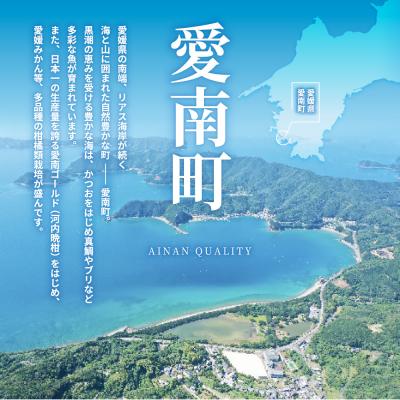 ふるさと納税 愛南町 純 麦味噌 吟みそ 粗ずり 700g × 4パック 麦味噌 愛媛県 愛南町 マルヤス味噌 |  | 03