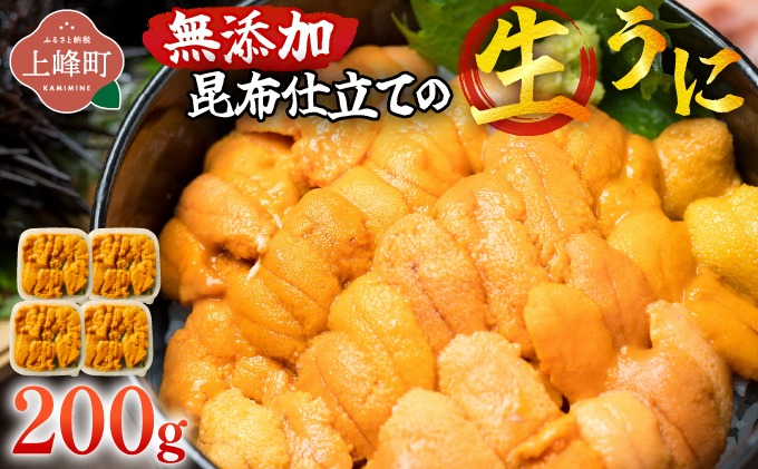 無添加 昆布仕立ての生うに 50g×4P | 生うに 無添加 うに 昆布仕立て 50g 刺身用 海鮮 冷凍 お取り寄せ ギフト 人気 高級 ご褒美用 海鮮丼用 ウニ丼用 高級食材