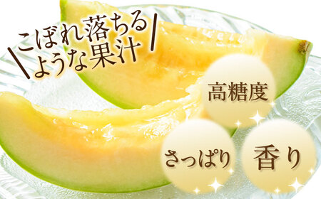 【2024年4月下旬〜発送】 プリンスメロン 約4kg / メロン めろん / 南島原市 / 南島原果物屋 [SCV010]
