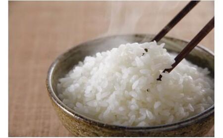 米 ミルキークイーン 鳥取県産 5kg