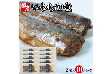 じっくりコトコト丁寧に煮込んだ「国産いわしの佃煮」2尾×10パック イワシ 鰯 佃煮 常温保存 ご飯のおとも おかず おつまみ 湯煎 [787]