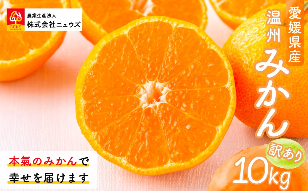 【先行予約】【訳あり】温州みかん 10kg ※離島への配送不可（2026年11月上旬より順次発送） IKTF028