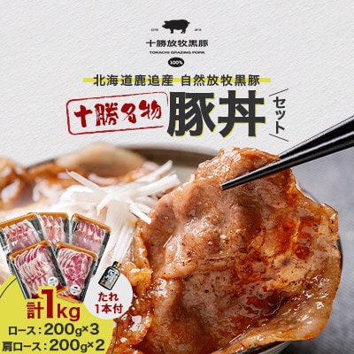 【毎月定期便】自然放牧黒豚 豚丼セット(ロース200g×3・肩ロース200g×2・たれ1本)全4回【配送不可地域：離島】
