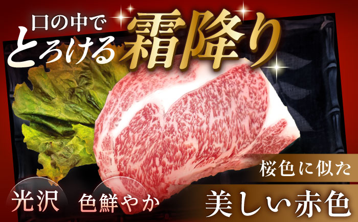 【チルド（冷蔵）発送！】 「飛騨牛」 A5等級 リブロース ステーキ用 300g / 牛肉 焼肉 鉄板焼き 網焼き BBQ/ 恵那市 / 東美濃農業協同組合 [AUFX020]