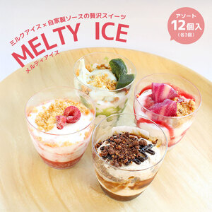 メルティアイス 12個入（各3個×4種） カップアイス パフェ