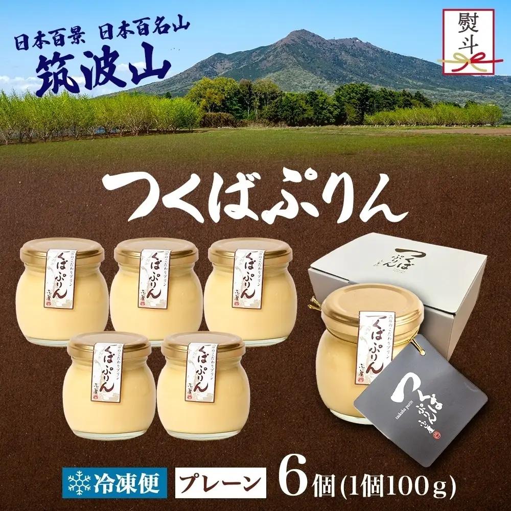 無地熨斗 つくばぷりん プレーン 6個 冷凍 プリン ぷりん 牛乳 生乳 ミルク 卵 奥久慈卵 スイーツ 贅沢 洋菓子 おやつ 冷菓 ご褒美 デザート 専門店 人気 グルメ お取り寄せ ギフト プレゼ