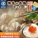 【ふるさと納税】【博多の名物セット】九州産ハーブ鶏水炊き2人前＆辛子明太子切子450g 家庭用 切子 明太子 めんたいこ 辛子明太子 魚介 海鮮 魚卵 鍋 水炊き 福岡 中間市 ふるさと納税 明太子【001-0119】