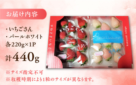 ＜先行予約＞紅白いちごのセット 佐賀県産 いちごさん・パールホワイト各220g /イチゴ 苺 フルーツ 果物 /  佐賀県/かわさきいちご[41ASBJ001]