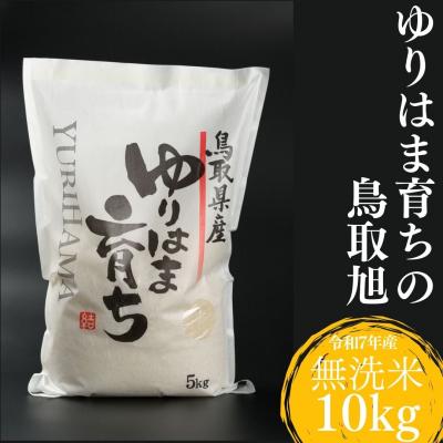 ふるさと納税 湯梨浜町 ゆりはま育ちの鳥取旭◇無洗米10kg◇令和7年産(234M.)