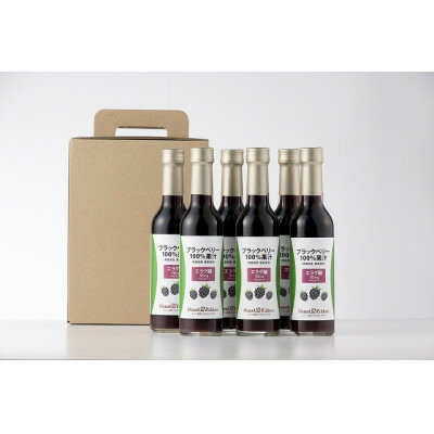 【ふるさと納税】ブラックベリー100%果汁6本セット【1653588】