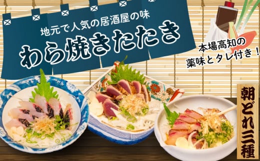 本場高知の藁焼き３種セット (かつお･カンパチ･旬の鮮魚) 土佐 高知県産 須崎市 IRY003