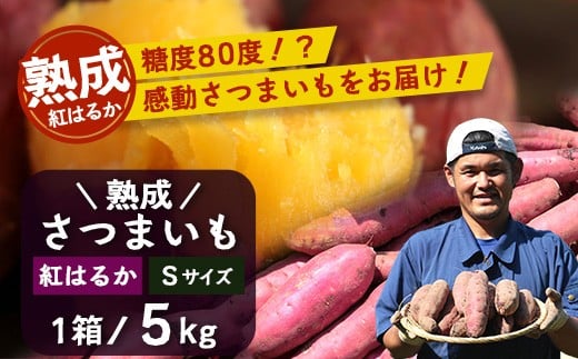
            【先行予約・2025年11月下旬より順次発送】鹿児島県産 熟成 紅はるか 5kg (1箱 ) Sサイズ (おすそ分け袋／美味しい焼き芋の焼き方 説明書付き） | さつまいも サツマイモ 焼き芋 べにはるか おやつ 煮物 芋ごはん 味噌汁 鹿児島県 南大隅町 株式会社フォレスト（AX72212）
          
