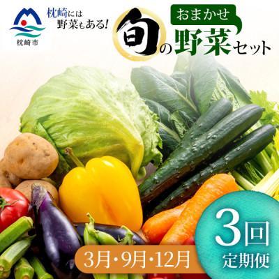 ふるさと納税 枕崎市 【発送月固定定期便】枕崎の野菜!!定番・旬の野菜お任せセット(3・9・12月)DD0-0009全3回