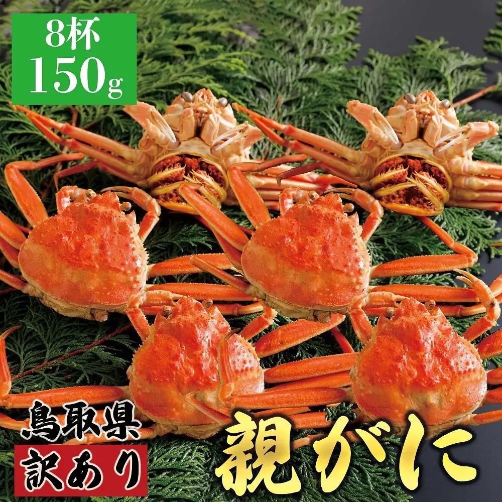 1069.【2026年12月発送】鳥取県産 特撰 親がに 姿【 セコガニ 】（茹）【訳あり】150g 8杯 | ズワイガニ ズワイガニ メス 蟹