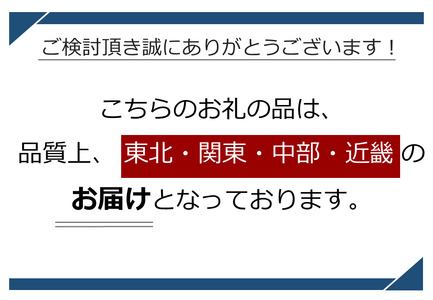 【期間限定☆レシピ付】先行予約 令和８年８月上旬順次発送 信州伝統野菜 天龍村産ていざなす4本セット（１本450g～650g）