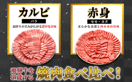 【最短発送】 贅沢！ 飛騨牛 焼肉セット 800g 4人前 牛肉 和牛 肉 焼肉 BBQ 霜降り カルビ 赤身 モモ カタ 東白川村 岐阜 養老ミート