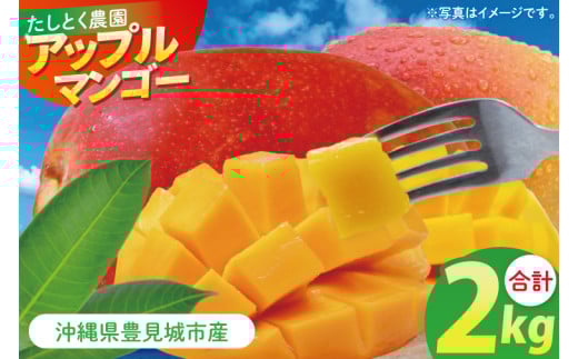 沖縄県豊見城市産アップルマンゴー 約2kg｜マンゴー アップルマンゴー フルーツ くだもの 果物 数量限定 おきなわ 沖縄 沖縄フルーツ 豊見城市(DJ001)