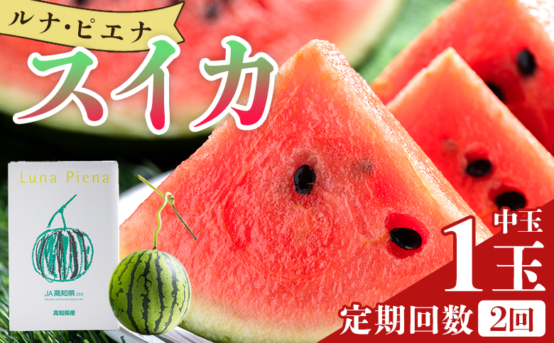 スイカ 定期便【２回定期便】ルナ・ピエナスイカ(中玉) 1玉 Wyu-0035