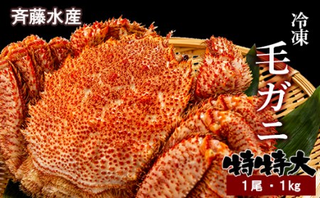 特特大サイズ！冷凍毛がに約1kg×1尾【斉藤水産】 AM150