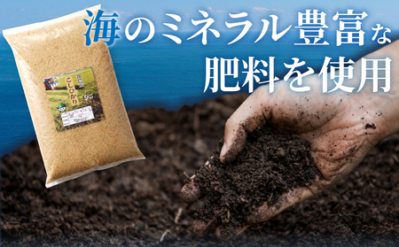 ≪都農町産≫新米コシヒカリ(玄米)5kg 米 お米 ご飯 国産_T031-003