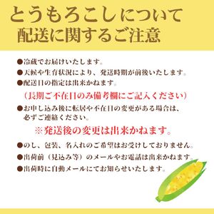2025年6月上旬発送【朝採り】とうもろこし　ドルチェドリーム　12本入り 杉山農園[5839-2181]