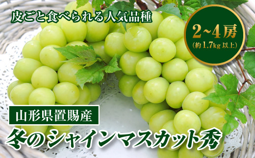 
《先行予約》山形県置賜産 冬のシャインマスカット 秀2～4房（約1.7kg以上）F20B-742
