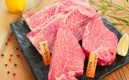 飛騨牛 ステーキプレミアムセット 希少部位 飛騨牛