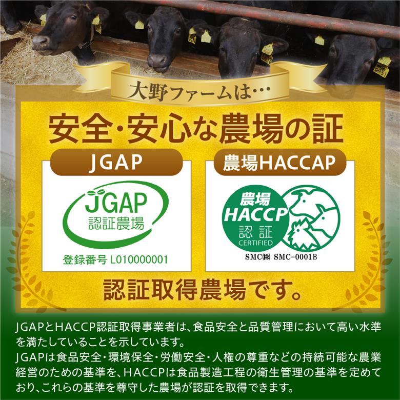 北海道十勝芽室町 めむろみらい牛使用！ひき肉1.2kg me007-002c