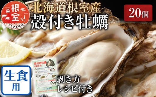 A-54009【年内配送可】 【北海道根室産】貝付き牡蠣20個[11月上旬以降発送]