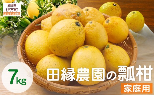 【先行予約】【数量限定】家庭用 瓢柑(7kg) 訳あり ※北海道・沖縄・離島への配送不可 （2027年4月1日より順次発送） 【 ふるさと納税 人気 おすすめ ランキング みかん ミカン 蜜柑 瓢柑 フルーツ 果物 訳あり 愛媛県産 田縁農園 愛媛県 伊方町 送料無料 】 IKTA021