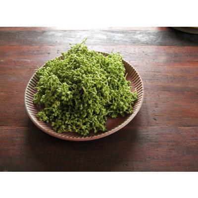 ふるさと納税 那智勝浦町 極旨!熊野牛 牛丼の具10個セット(粉山椒付) |  | 02