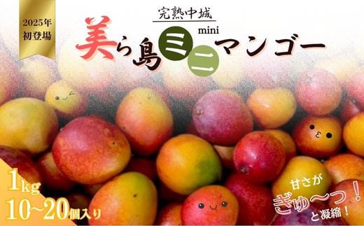 
            完熟沖縄ミニマンゴーご家庭用約1ｋｇ（10～20個入）2025年発送　沖縄 特産品 フルーツ 果物 デザート スイーツ おすすめ オススメ 贈り物 プレゼント お土産 お見舞い 期間限定 数量限定 希少 レア
          