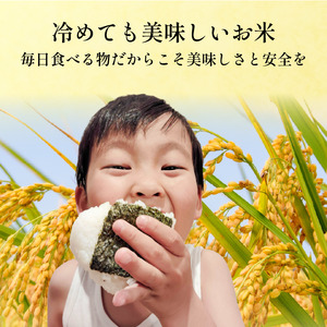 お米 コシヒカリ 10kg 令和7年産 米 こめ 海苔屋の米 米 米