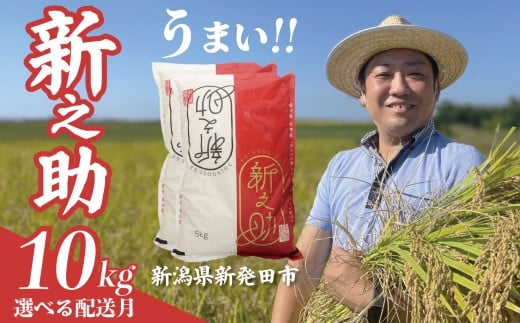 【12月発送】 令和7年産 新之助 10kg 5kg×2袋 新米 お米 こめ ご飯 ごはん おいしい 新潟 新潟県 米 5kg 10kg 新発田産 新潟産 朝食 昼食 夕飯 炊きたて 精米 ブランド watasho008_202512