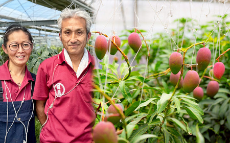 No.223 恋マンゴージャムセット ／ ジャム マンゴー 濃厚 甘み 完熟 てん菜 無添加 子供 妊婦さん 安全 愛知県