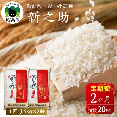 ふるさと納税 妙高市 2026年5月中旬より発送【定期便】令和7年産新潟県上越・妙高産新之助10kg×2回(計20kg)