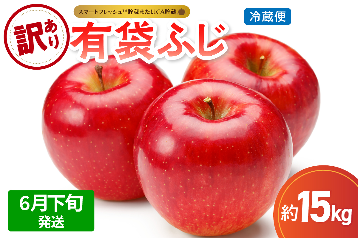 【2026年6月下旬発送】【訳あり】りんご15kg有袋ふじ【スマートフレッシュTM貯蔵またはCA貯蔵・クール便】