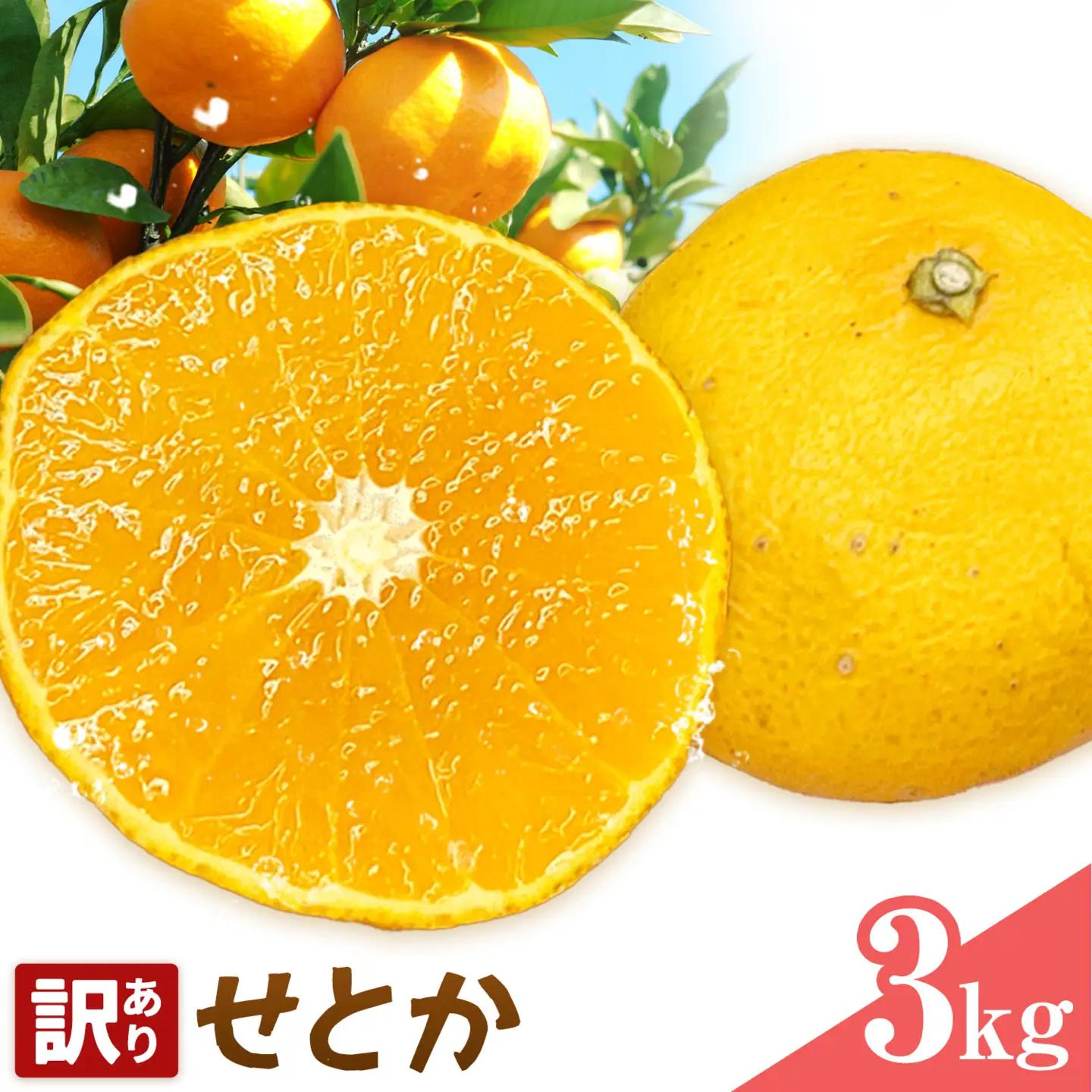 せとか 訳あり 3kg