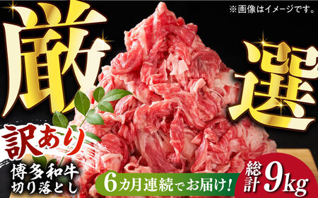 【全6回定期便】【訳あり】博多和牛切り落とし 1.5kg(500g×3p）《築上町》【MEAT PLUS】肉 切り落とし [ABBP131] 切り落とし 切り落とし 切り落とし 切り落とし 切り落とし