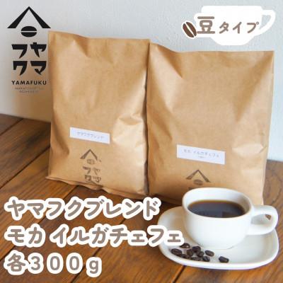 ふるさと納税 中頓別町 【自家焙煎珈琲】ヤマフクブレンド　モカイルガチェフェ　コーヒー豆各300g飲み比べセット