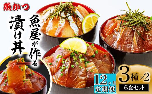 【12ヶ月 定期便】漬け丼 3種×2パック 計6食セット | 漬け丼 定期便 海鮮 惣菜 冷凍 真空パック 小分け 海鮮丼 海鮮セット 詰め合わせ 旬の鮮魚 ハマチ カンパチ カツオ 鯖 サバ ヒラマサ 平政 マグロ アジ ヒラメ 鯛 漬け づけ丼 お茶漬け ごはん 山口県 宇部市