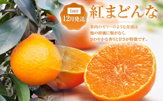 [定期月指定3回]紅コレクション