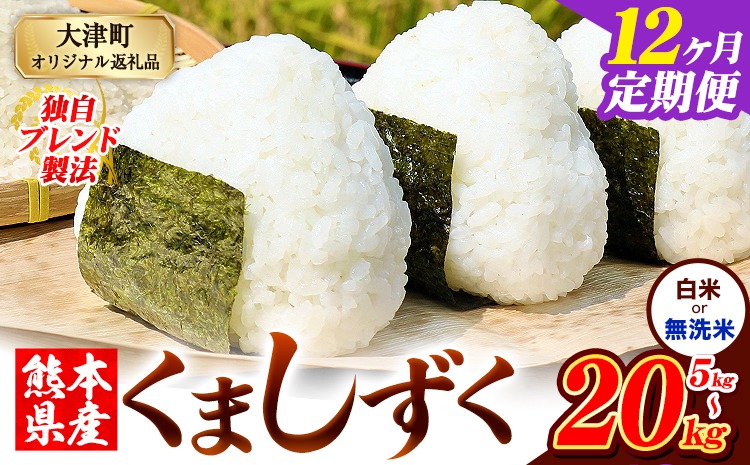 【12ヶ月定期便】無洗米 も選べる 熊本県産 ブレンド米 くましずく 5kg 10kg 15kg 20kg《お申し込み月の翌月から出荷開始》---oz_ksztei_138000_5kg_h_mo12---